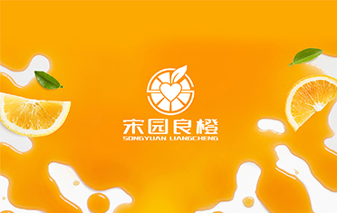 某良橙——绥化LOGO设计