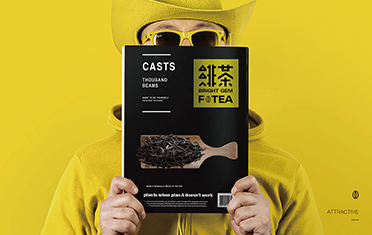 绥化绯茶品牌设计